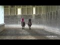 シュウジデイファーム