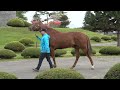 ファンタストクラブ