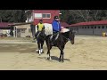 ＪＯＪＩ ＳＴＡＢＬＥ
