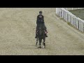 宇治田原優駿ステーブル