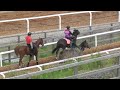 宇治田原優駿ステーブル