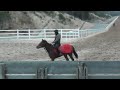 チャンピオンヒルズ