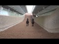 シュウジデイファーム