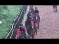 ケイワンステーブル