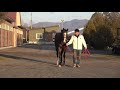 小国スティーブル