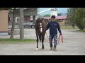 小国スティーブル