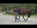 小国スティーブル