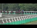 シュウジデイファーム