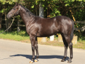 近況情報イメージ