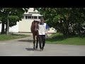 桑田牧場