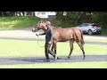 パカパカファーム厚賀分場