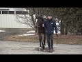 桑田牧場