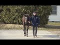桑田牧場