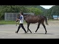 桑田牧場