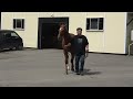 シュウジデイファーム