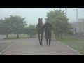 西村牧場