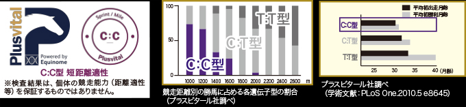 血統診断 画像-2
