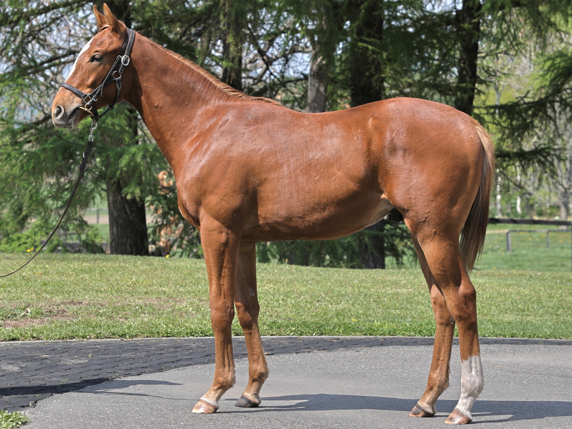 フォーエヴァーユアーズ' 25