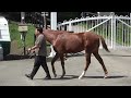 シュウジデイファーム