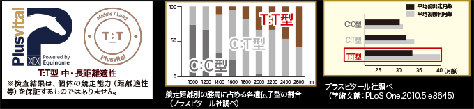 血統診断 画像-2