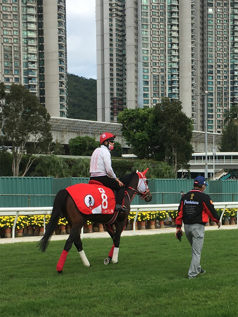 パンサラッサの香港カップ（GⅠ、芝2000メートル）平松さとしさん