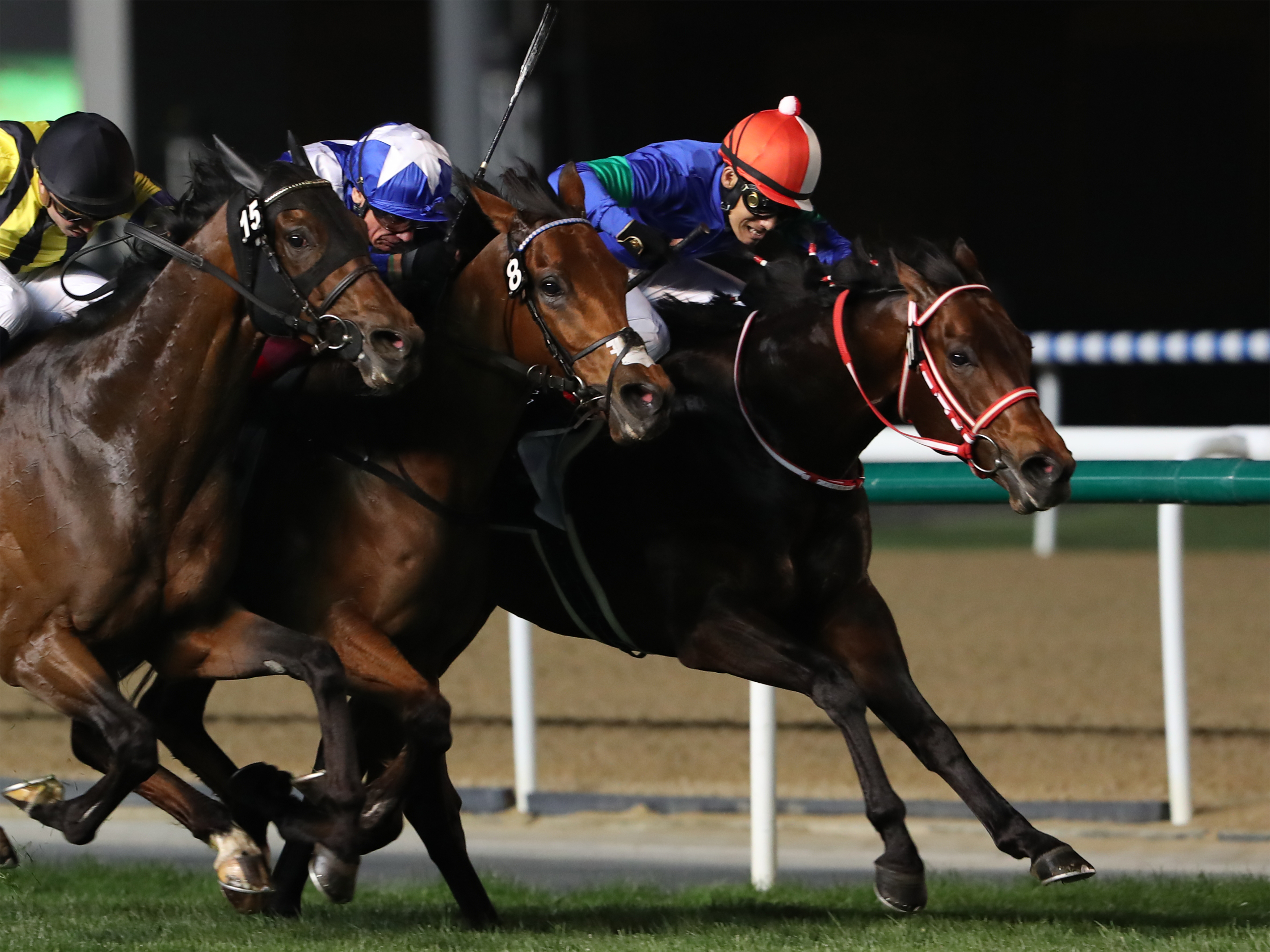 ドバイターフ】パンサラッサは吉田豊騎手が騎乗 04年以来の海外