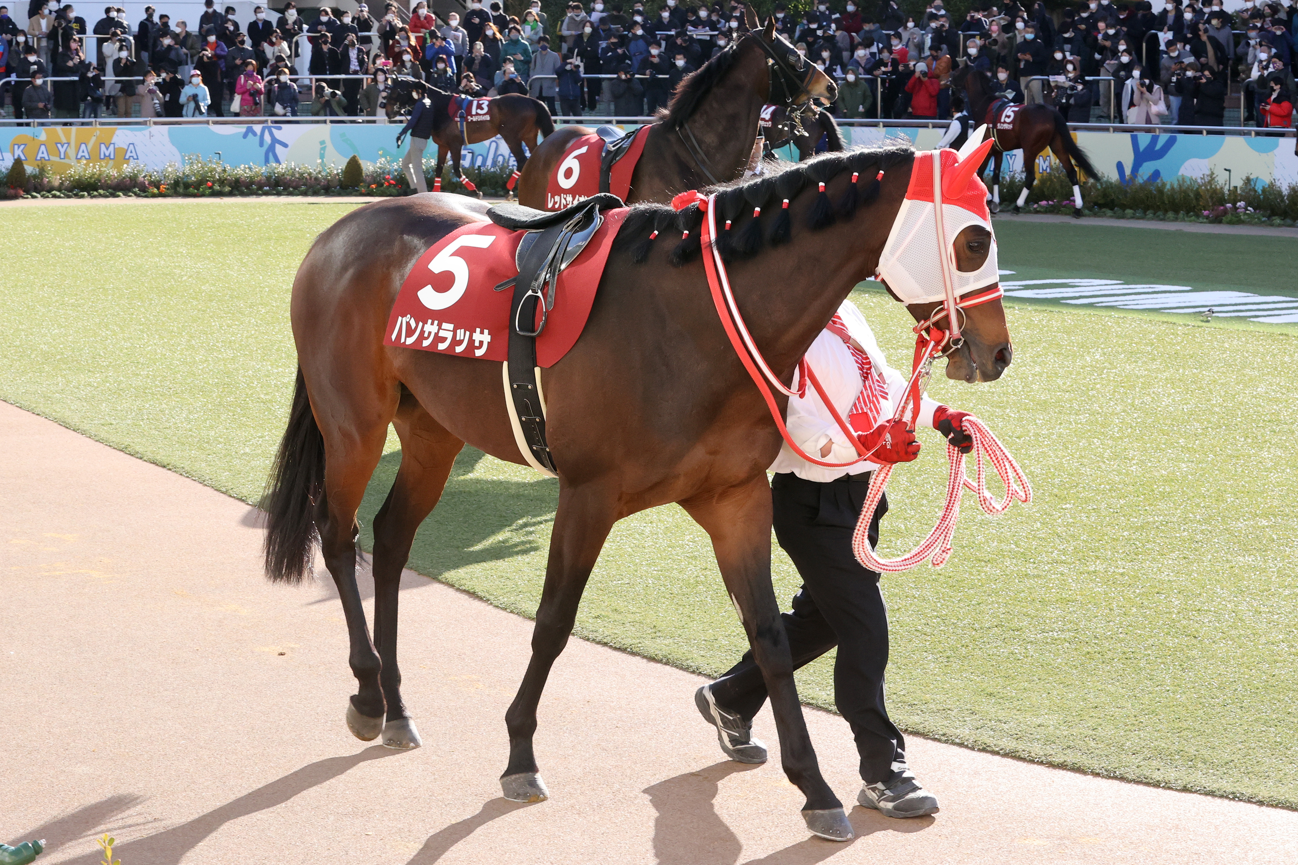 競馬　馬　フレデリック・レミントン画集 グレートホース馬ン列伝【公式】 (@Grhman1030) / X