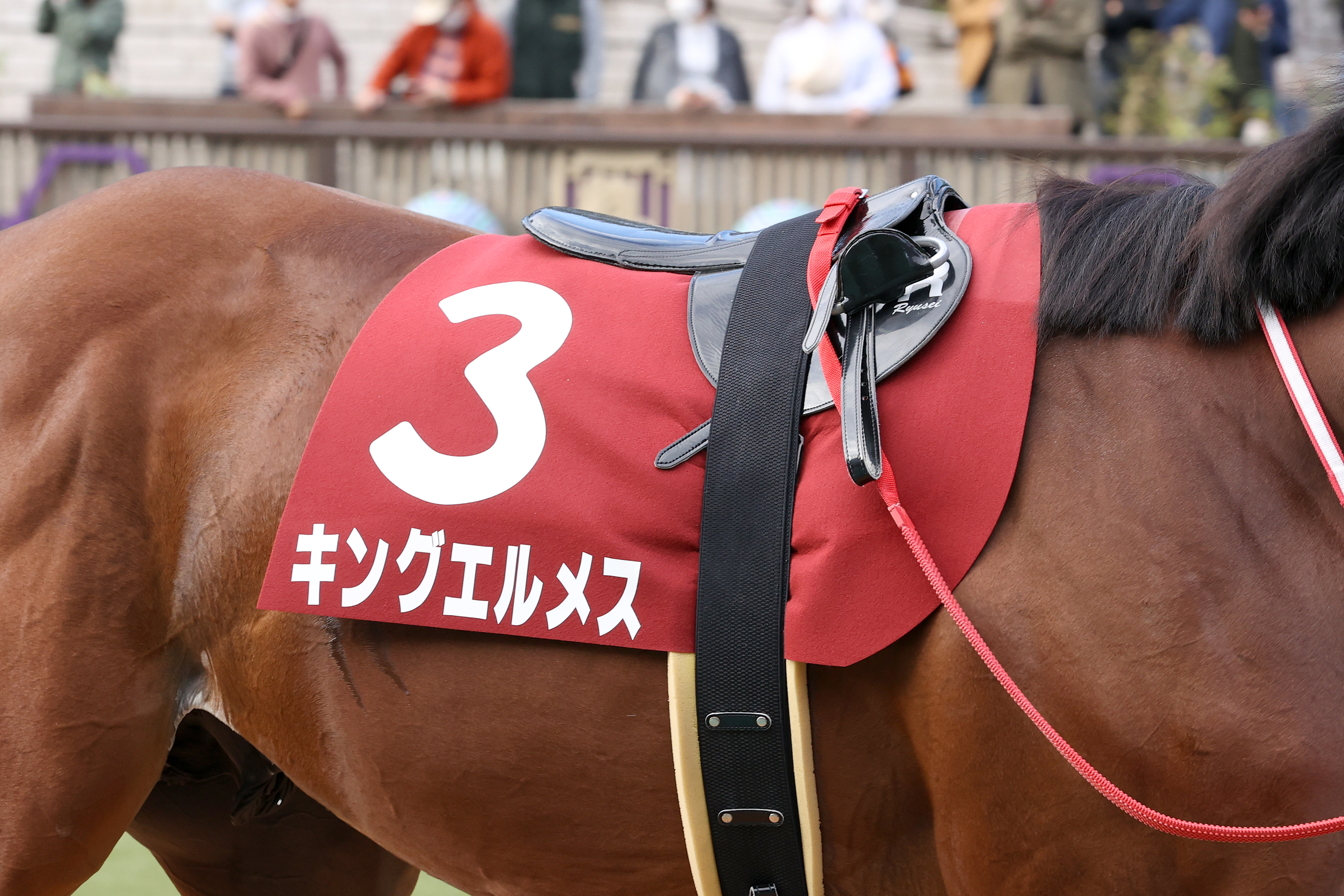 Online Racing Salon Vol. 22 Hiroo no Reiwa 坂井瑠星騎手