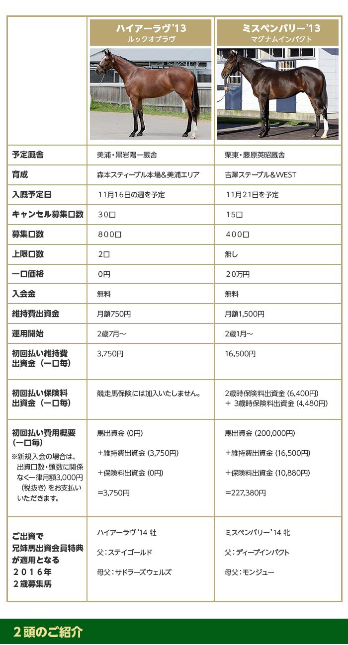 	ミスペンバリー’13	ハイアーラヴ’13 競走馬名	マグナムインパクト	ルックオブラヴ  予定厩舎	栗東・藤原英昭厩舎	美浦・黒岩陽一厩舎 育成	吉澤ステーブル＆WEST	森本スティーブル本場＆美浦エリア 募集馬画像	 	  入厩予定日	１１月２１日を予定	１１月１６日の週を予定 キャンセル募集口数	１５口	３０口 募集口数	４００口	８００口 上限口数	無し	２口 一口価格	２０万円	０円 入会金	無料 維持費出資金	1,500円	750円 運用開始	2歳1月～	2歳7月～ 初回払い維持費出資金（一口毎）	16,500円	3,750円 初回払い保険料出資金（一口毎）	2歳時保険料出資金（6,400円） ＋ 3歳時保険料出資金（4,480円）	保険はかけません。 初回払い費用概要（一口毎） ※新規入会の場合は、出資口数・頭数に関係なく一律月額3,000円（税抜き）をお支払いいただきます。	馬出資金（200,000円） ＋維持費出資金（16,500円） ＋保険料出資金（10,880円）＝227,380円	馬出資金（0円） ＋維持費出資金（3,750円） ＋保険料出資金（0円） ＝3,750円 ご出資で兄姉出資馬特典が適用となる２０１６年２歳募集馬	ミスペンバリー’14　牝 父：ディープインパクト 母父：モンジュー	ハイアーラヴ’14　牡 父：ステイゴールド　 母父：サドラーズウェルズ