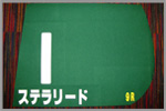 ＨＴＣ所属馬中央競馬レプリカゼッケン画像