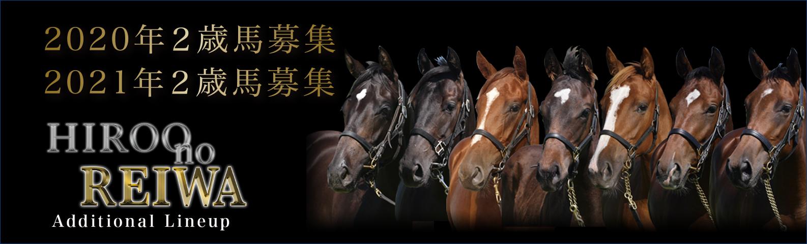 馬主気分が味わえるjra競走馬の一口クラブ 広尾サラブレッド倶楽部