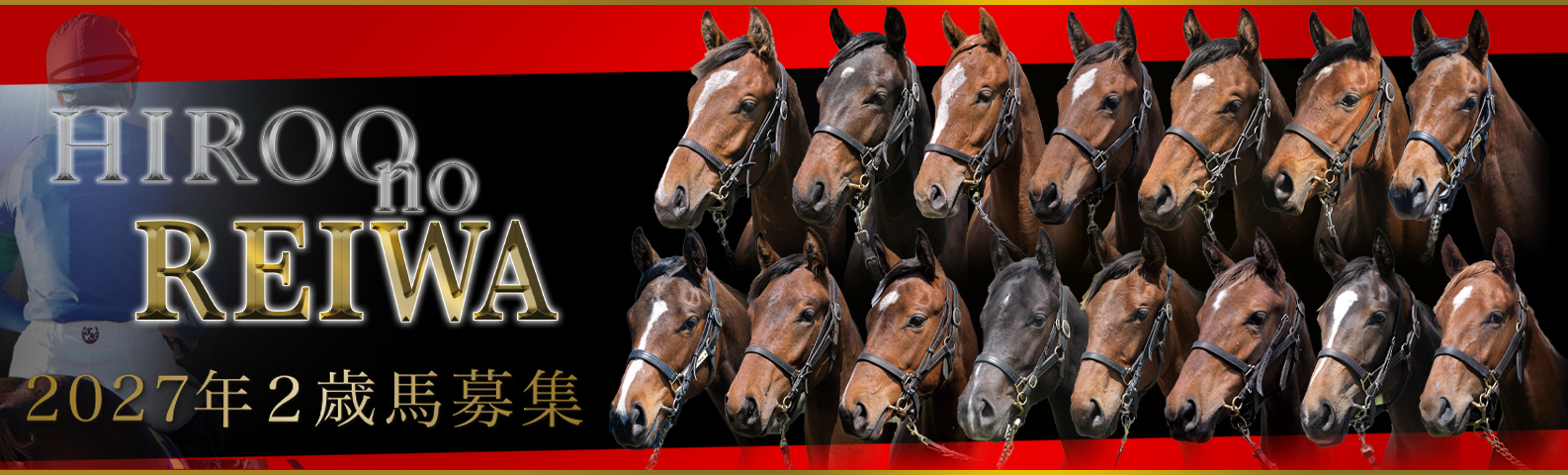 2027年2歳馬募集『Hiroo no REIWA』のご案内