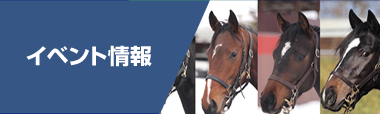 イベント情報